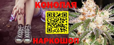 гидропоника Будённовск