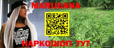 гидропоника Будённовск