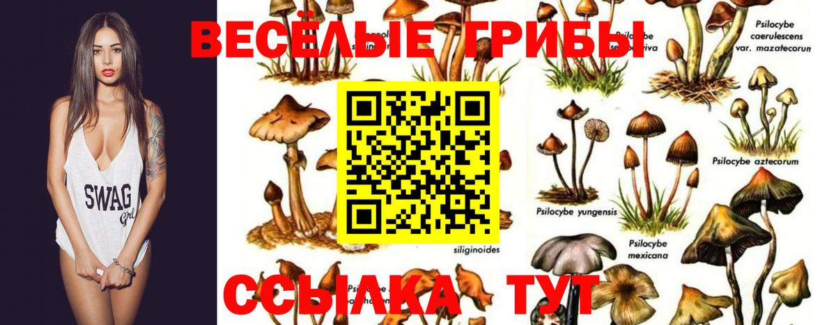 Галлюциногенные грибы GOLDEN TEACHER Туймазы