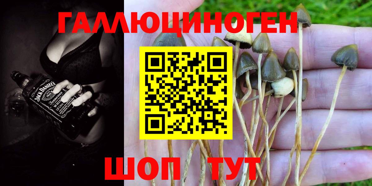 Туймазы  Галлюциногенные грибы Magic Shrooms  Вход с VPN 